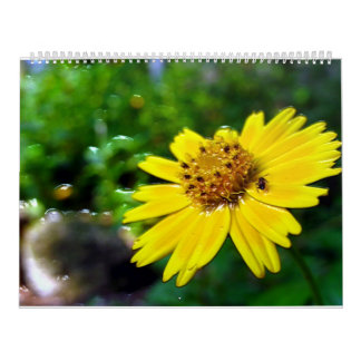 2 pagina's, grote witte kalender