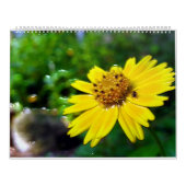 2 pagina's, grote witte kalender (Hoes)