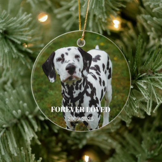 2 Pet Photo & Free Text Personalized Memorial Keramisch Ornament (Boom)