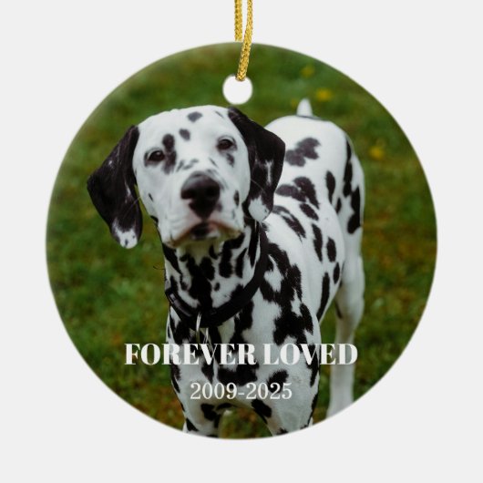 2 Pet Photo & Free Text Personalized Memorial Keramisch Ornament (Voorkant)