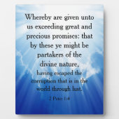 2 Peter 1:4 Fotoplaat (Voorkant)