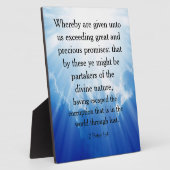 2 Peter 1:4 Fotoplaat (Zijkant)
