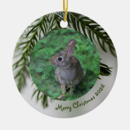 2 Photo Front & Back Evergreen Christmas Ornament