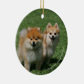 2 Pommeren die camera's bekijken Keramisch Ornament (Rechts)