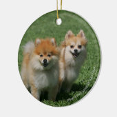 2 Pommeren die camera's bekijken Keramisch Ornament (Links)