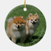 2 Pommeren die camera's bekijken Keramisch Ornament (Achterkant)