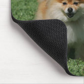 2 Pommeren die camera's bekijken Muismat (Hoek)