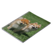 2 Pommeren die camera's bekijken Notitieboek (Linkerzijde)