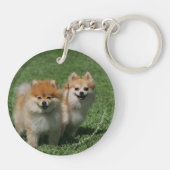 2 Pommeren die camera's bekijken Sleutelhanger (Achterkant)