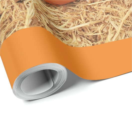 2 pompoen cadeaupapier (Rol Hoek)