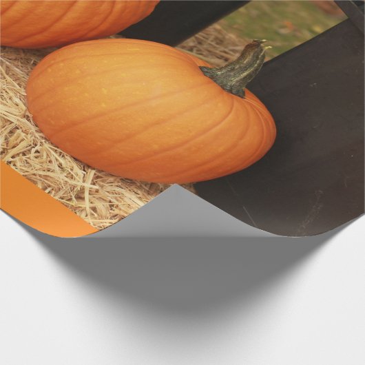 2 pompoen cadeaupapier (Hoek)