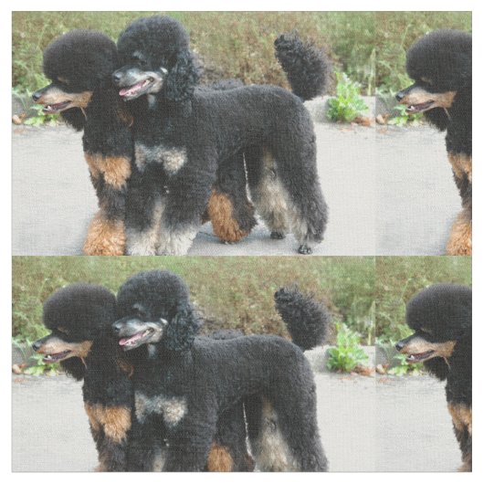 2 pooiers vol stof (Close Up)