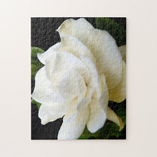 2 Pure White Gardenia Legpuzzel (Verticaal)
