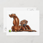 2 Rhodezische rugzakken Briefkaart (Voorkant / Achterkant)