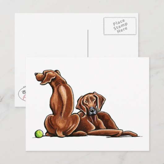 2 Rhodezische rugzakken Briefkaart (Voorkant / Achterkant)