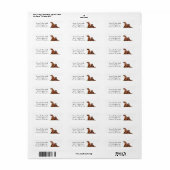 2 Rhodezische rugzakken Etiket (Full Sheet)