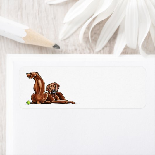 2 Rhodezische rugzakken Etiket (Insitu)