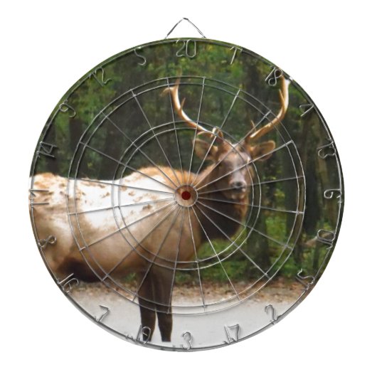 2 Rocky Mountain Elk Dartbord (Voorkant)