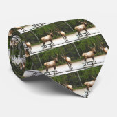 2 Rocky Mountain Elk Stropdas (Opgerold)