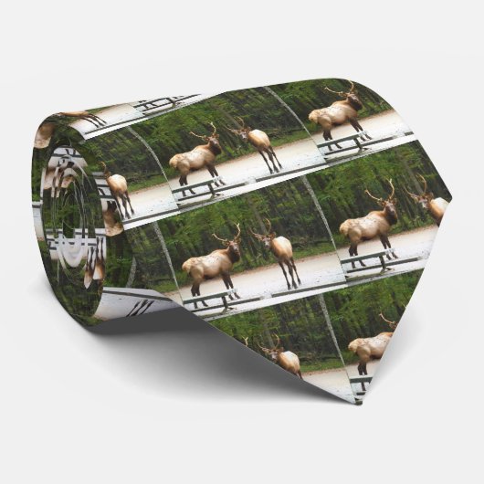 2 Rocky Mountain Elk Stropdas (Opgerold)