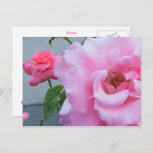 2 ROZEN BRIEFKAART (Voorkant / Achterkant)