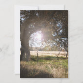 2 Rustische bomen Noon Dusk Sunset Country Weddens Kaart (Achterkant)