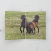 2 Sable Island Hengsten Wild Horse Wenskaart Kaart (Binnen)