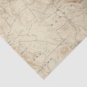 2 Sandisfield Tissuepapier (Detail)