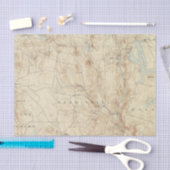 2 Sandisfield Tissuepapier (Craft)