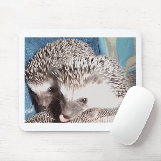 2 schattige egel muismat (Met muis)