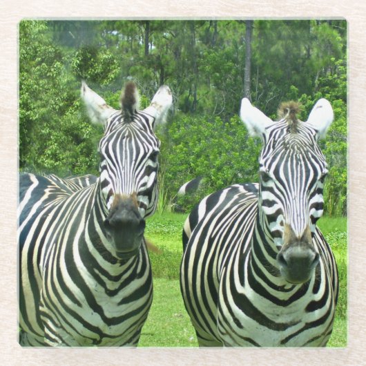 2 Schattige zebra's Glazen Onderzetter (Voorkant)