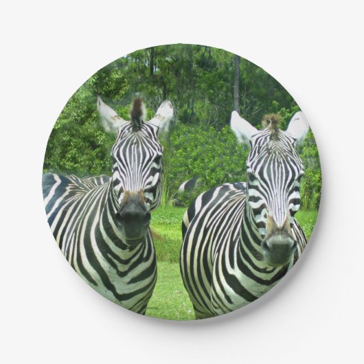 2 Schattige zebra's Papieren Bordje (Voorkant)