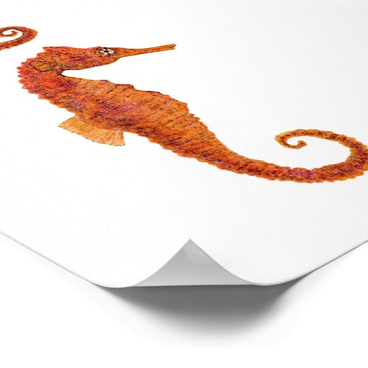 2 Seapaarden Poster (Hoek)