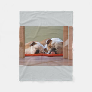 2 slapende stierenhonden.png fleece deken