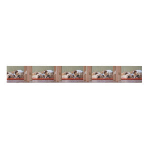 2 slapende stierenhonden.png grosgrain lint