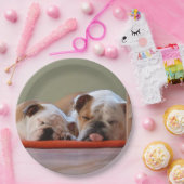 2 slapende stierenhonden.png papieren bordje (Feest)