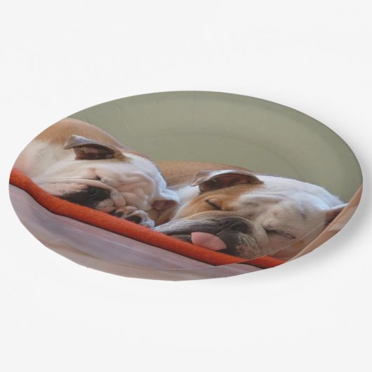 2 slapende stierenhonden.png papieren bordje