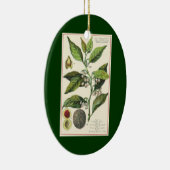 2  specerijen Planten, Nutmeg en Black Pepper Keramisch Ornament (Rechts)