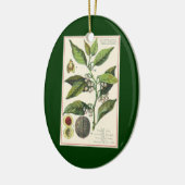 2  specerijen Planten, Nutmeg en Black Pepper Keramisch Ornament (Links)