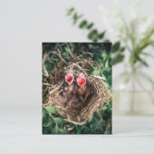 2 Spring Baby Birds in Nest, Wildlife Fotografie Briefkaart (Staand voorkant)