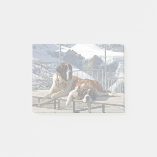 2 St-Bernard poserend - Post-it Notitieblok Post-it® Notes (Voorkant)