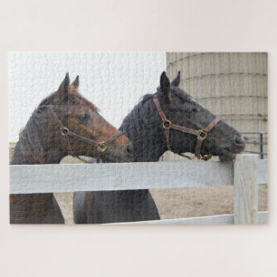 2 Stomme paarden die over een hek kijken Legpuzzel