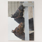2 Stomme paarden die over een hek kijken Legpuzzel (Verticaal)
