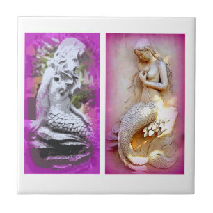 2 tegel voor zeemaiddel tegeltje