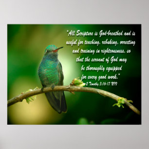 2 Timothy 3:16-17 Christelijk Poster Hummingbird