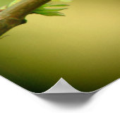 2 Timothy 3:16-17 Christelijk Poster Hummingbird (Hoek)