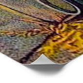 2 Timothy 4:6-8 Ik heb het poster voor de cursus a (Hoek)