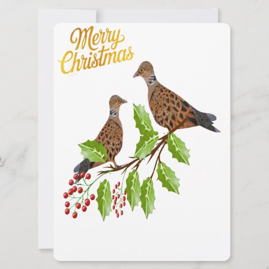 2 Turtle Doves Feestdagenkaart (Voorkant)
