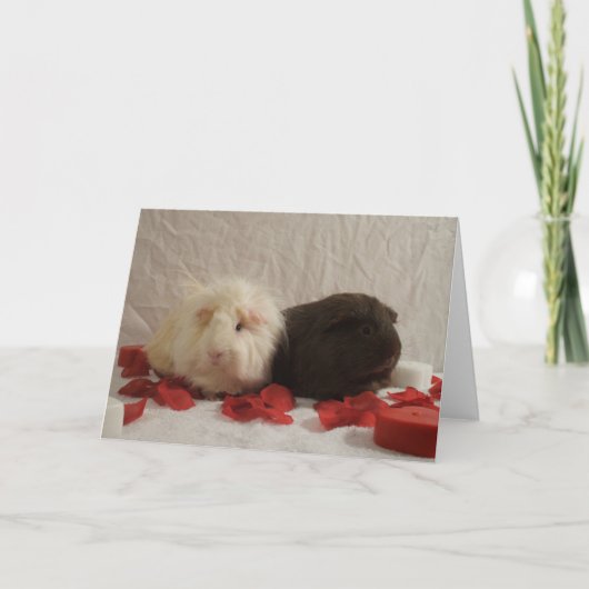 2 Valentijnse cavia's Feestdagen Kaart (Voorkant)