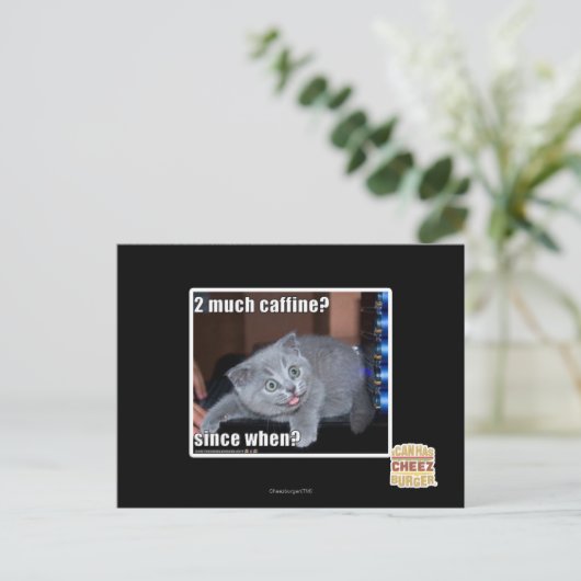 2 veel cafeïne? briefkaart (Staand voorkant)